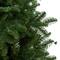 4ft. Pre-Lit South Carolina Spruce Artificial Christmas Tree, Clear Lights